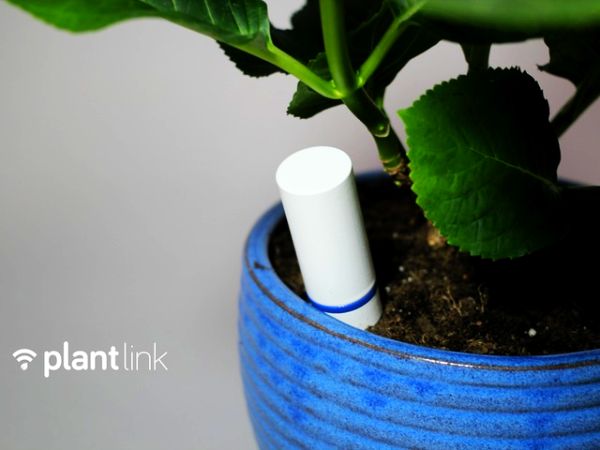 Plant Link plant sensor