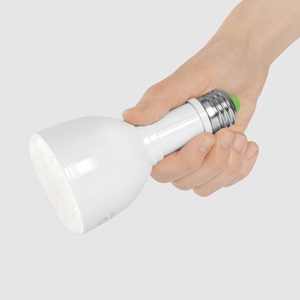 Bulb flashlight 