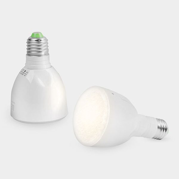 Bulb flashlight 
