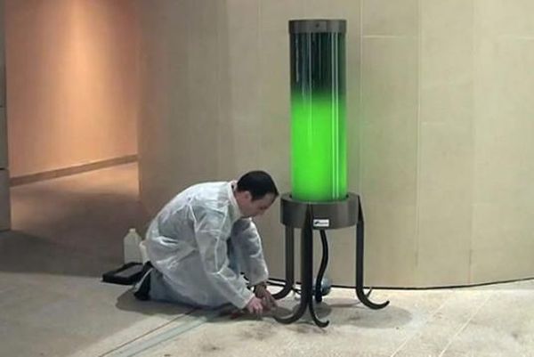 Living microalgae lamp by French Biochemist