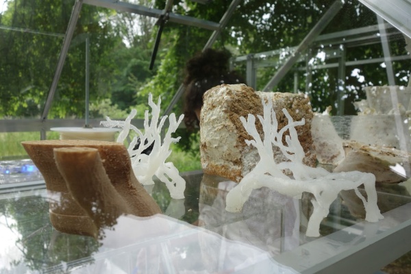 Mycelium chair Eric Klarenbeek 3d-printed chair 