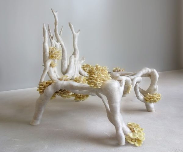 3D printed Mycelium chair 