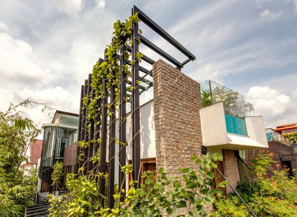 Garden Villa by Aamer Architects