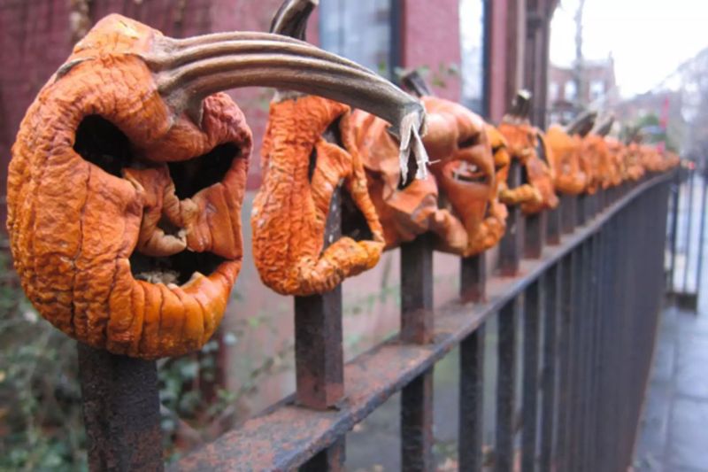 Front gate halloween decoration_12