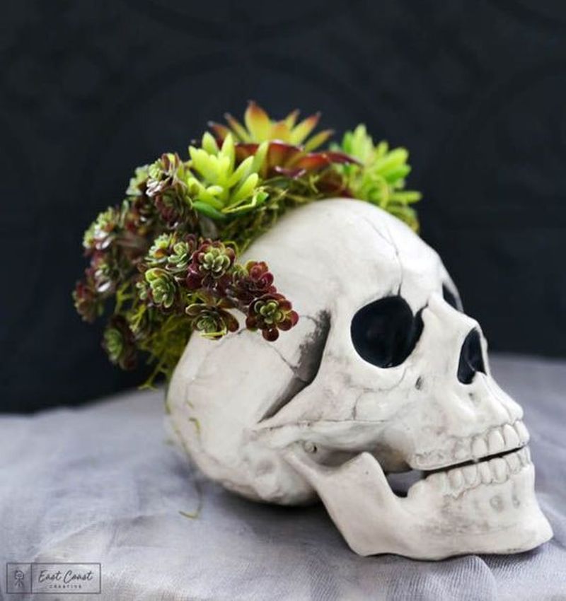 Skull, spiders, and other Halloween props are needful