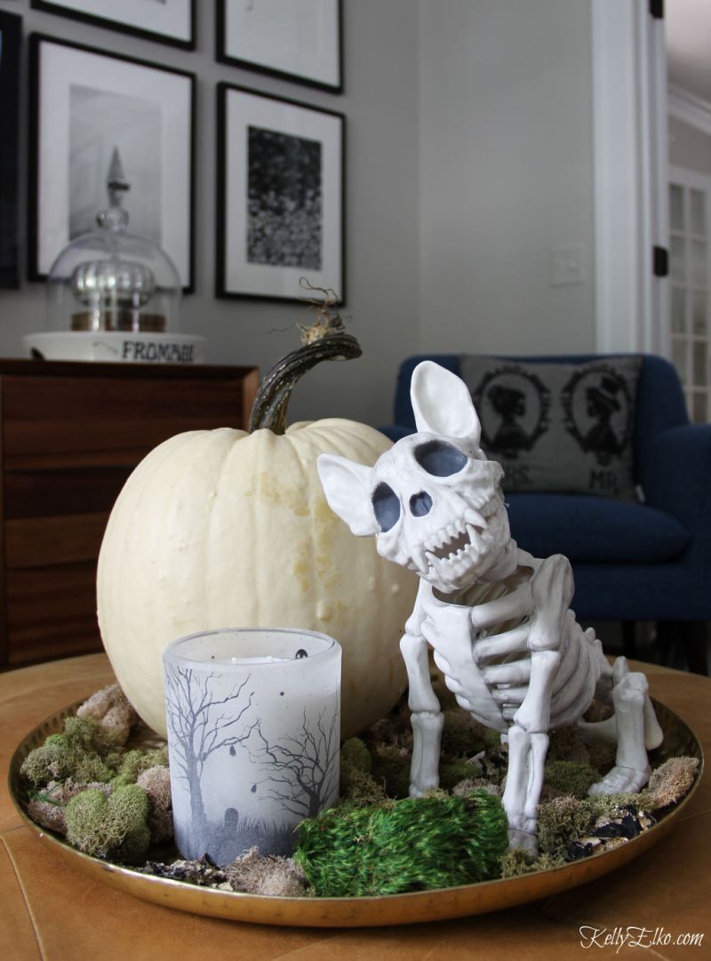 Skull, spiders, and other Halloween props are needful