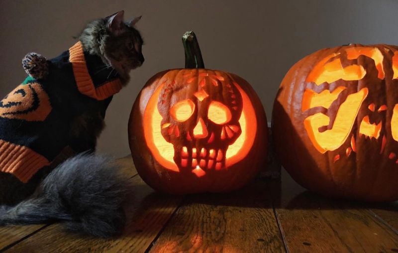Skull pumpkin