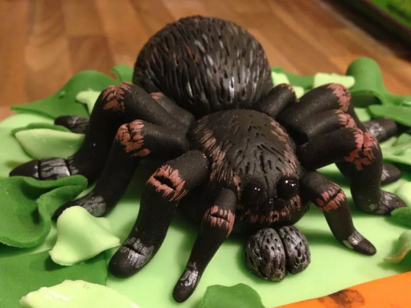 Spider cake for Halloween