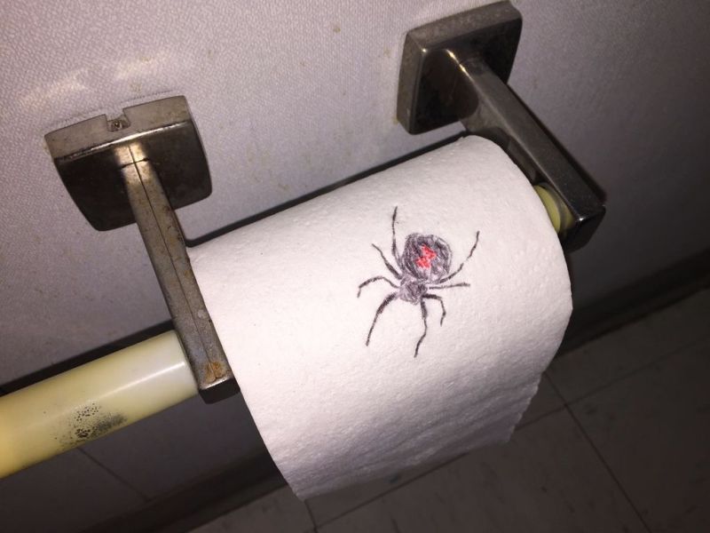 Spiders, mice and bats hanging out in bathroom