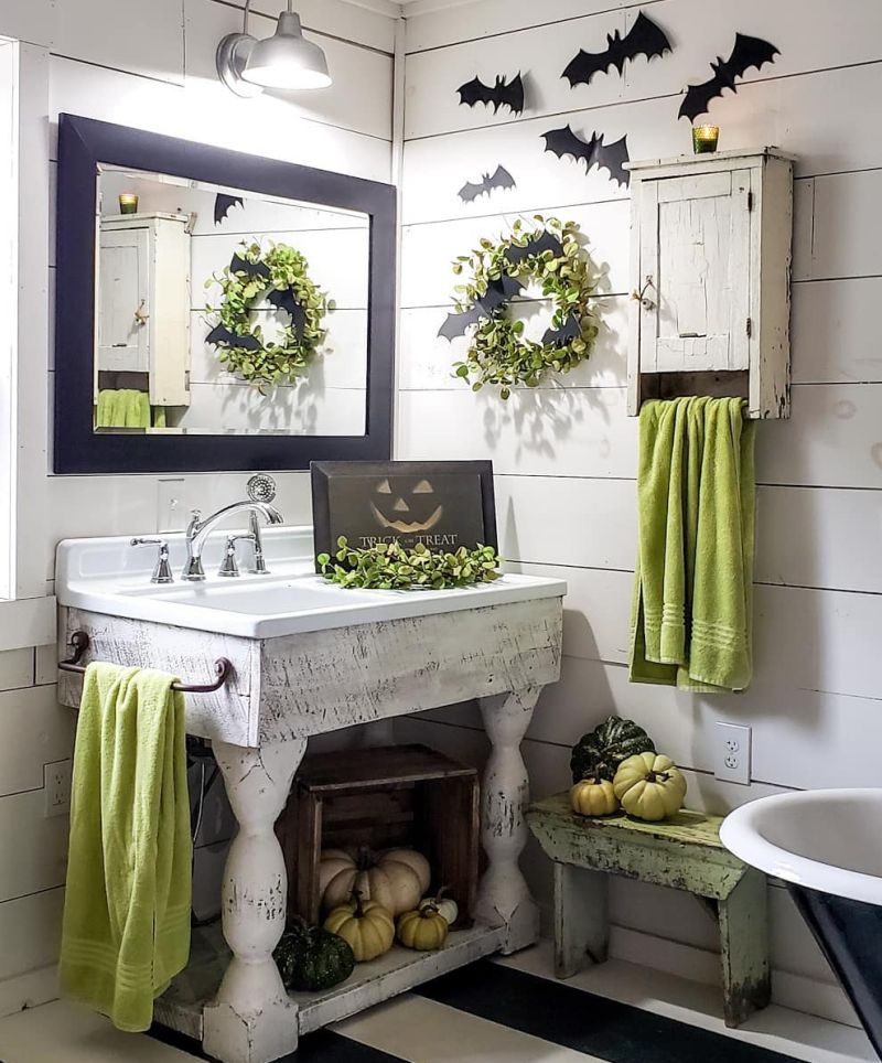 Spiders, mice and bats hanging out in bathroom