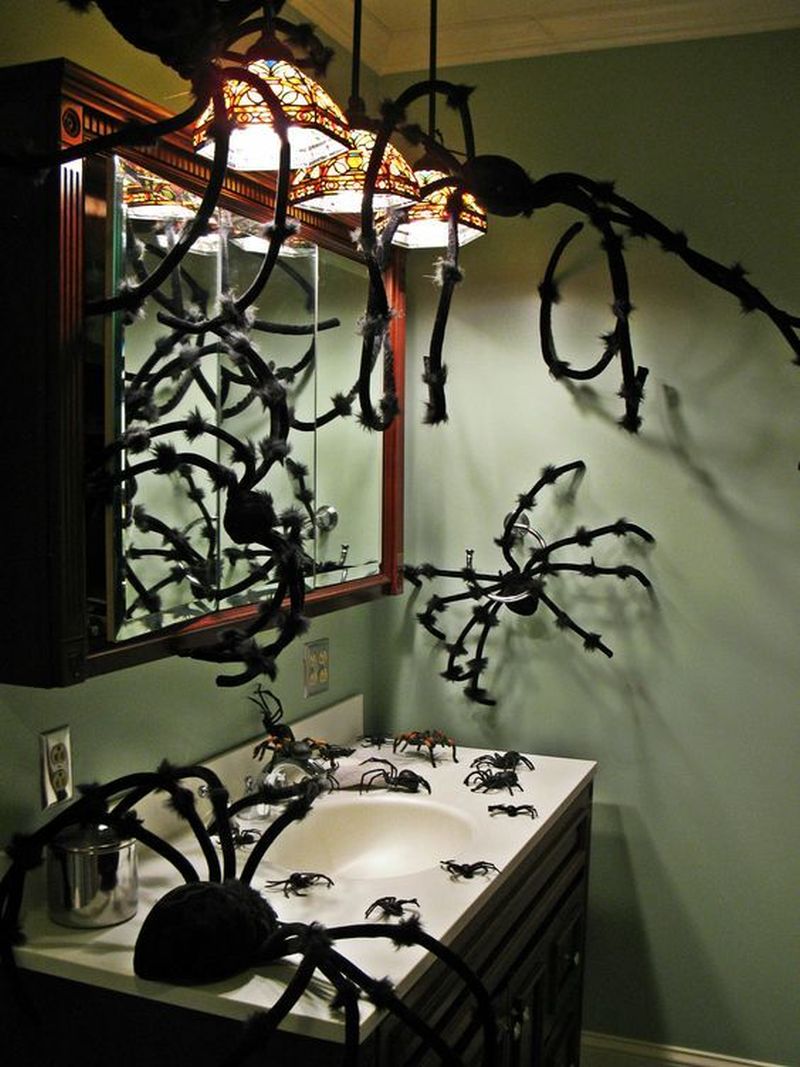Spiders, mice and bats hanging out in bathroom