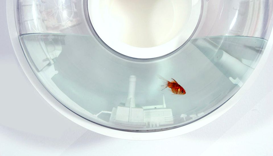 Flying Fish Bowl by Red Edges Design Studio