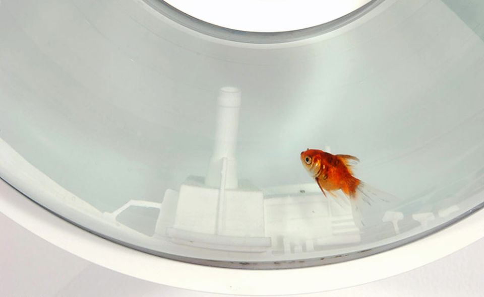 Flying Fish Bowl by Red Edges Design Studio