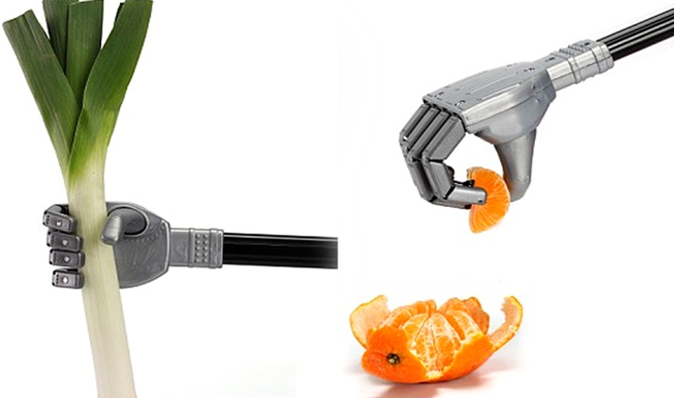 Pioneering robotic chefs cook for humans