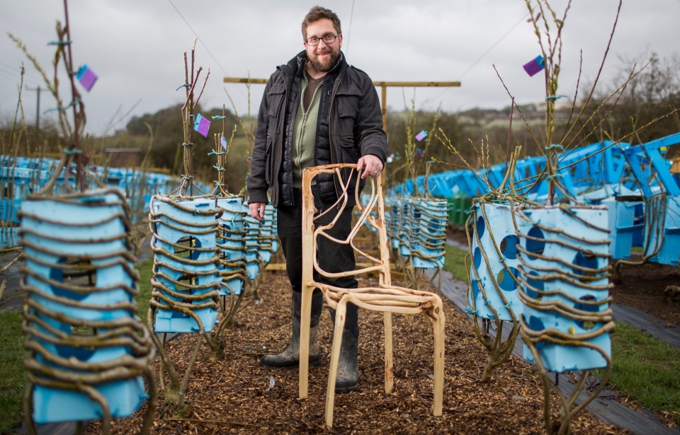 Trees Sculpted Into One Of A Kind Furniture Pieces By Gavin Munro