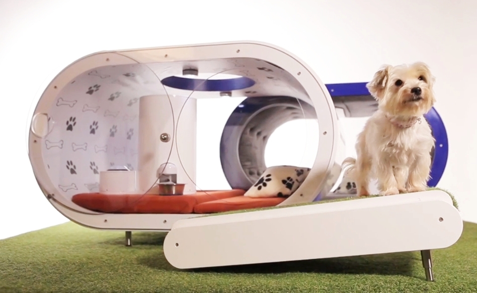 Samsung Dream Doghouse