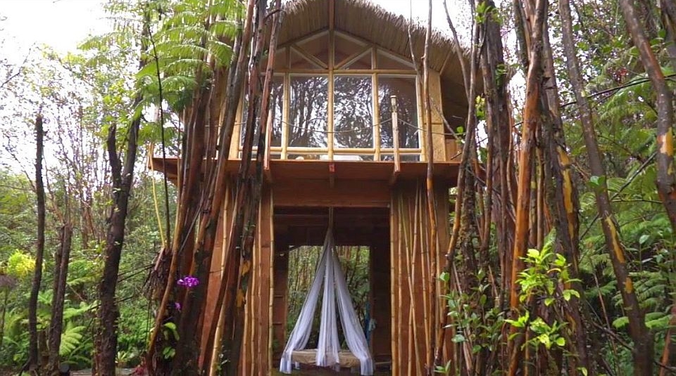 25 Best Treehouse Hotels From Around The World