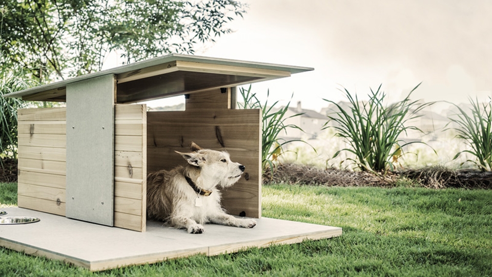 Puphaus dog house
