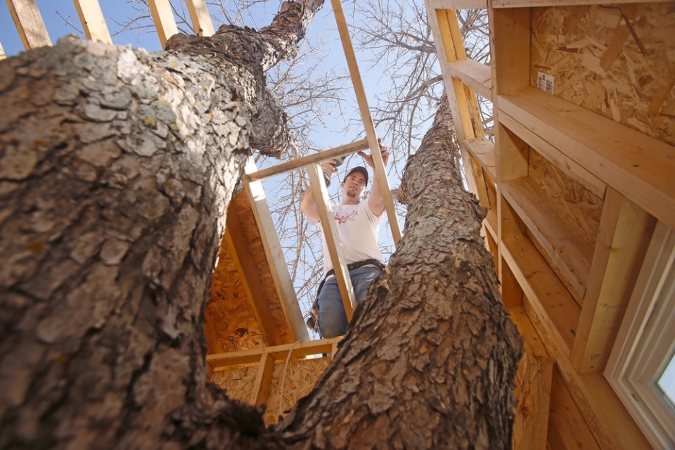 Trevor Odden while finishing the roof of the treehouse