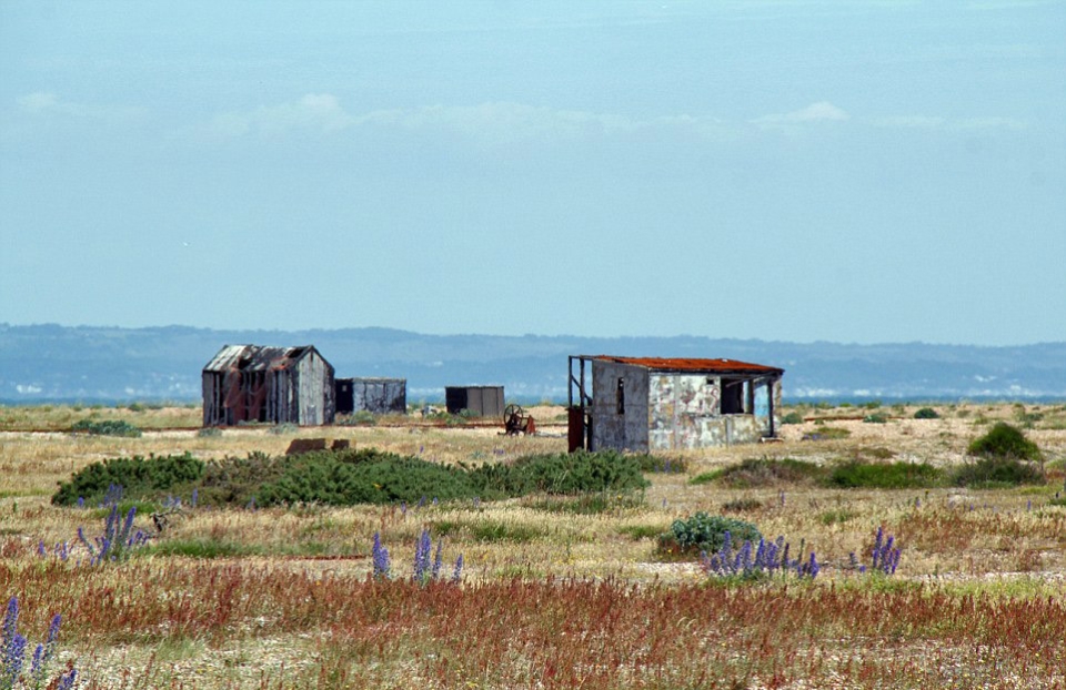 Dungeness Estate