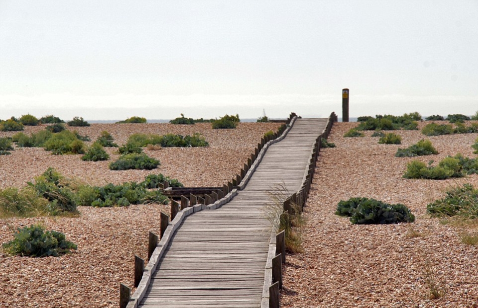 Dungeness Estate