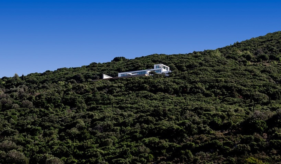 House T by Olivier Dwek