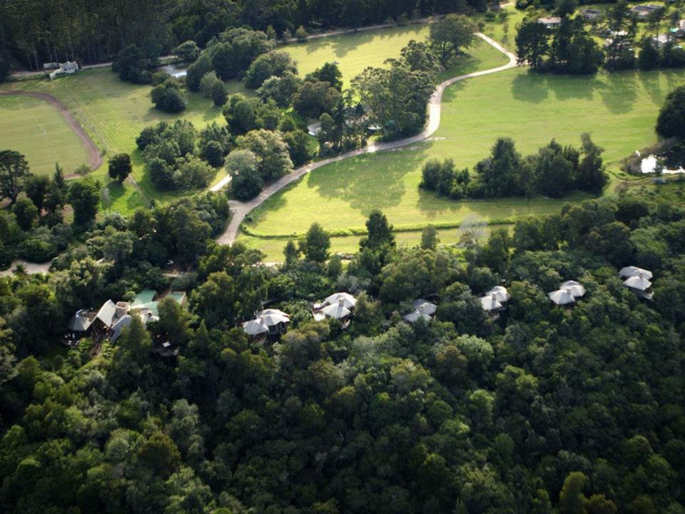 Tsala Treetop Lodge