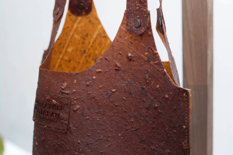 Fruit Leather