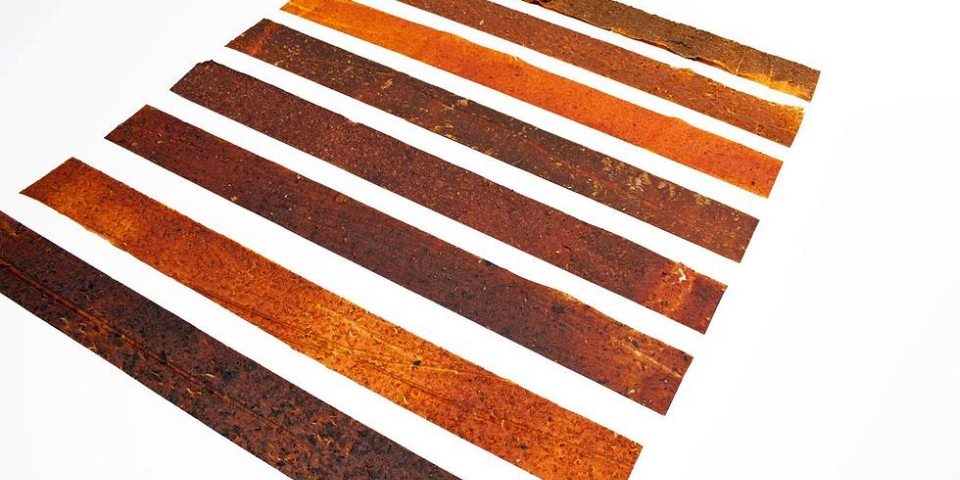 Fruit Leather