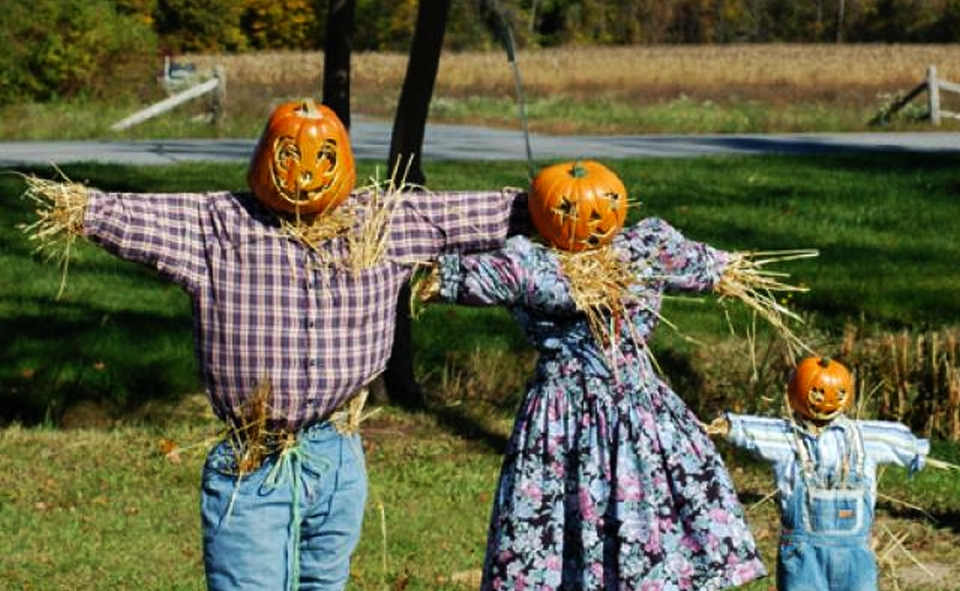 unusual halloween props