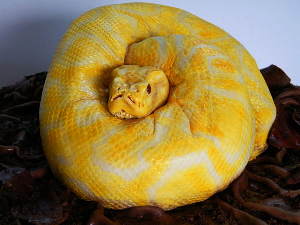 20 eerie Halloween treats you’ll think twice before eating