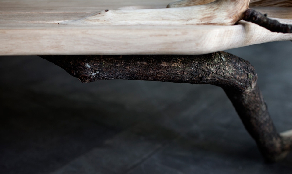 Fallen Tree Bench