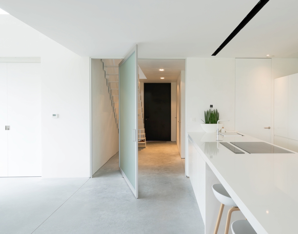 Anyway Pivoting door