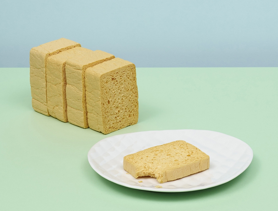 Sponges as slices of toast