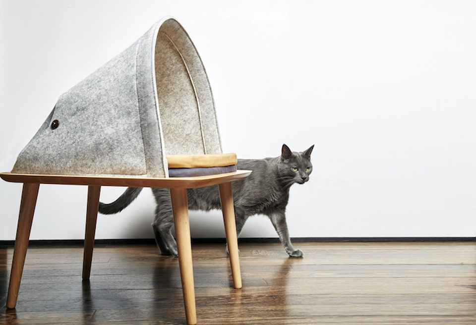 The BED offers an elevated vantage point