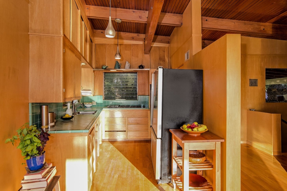 Treehouse in Silver Lake
