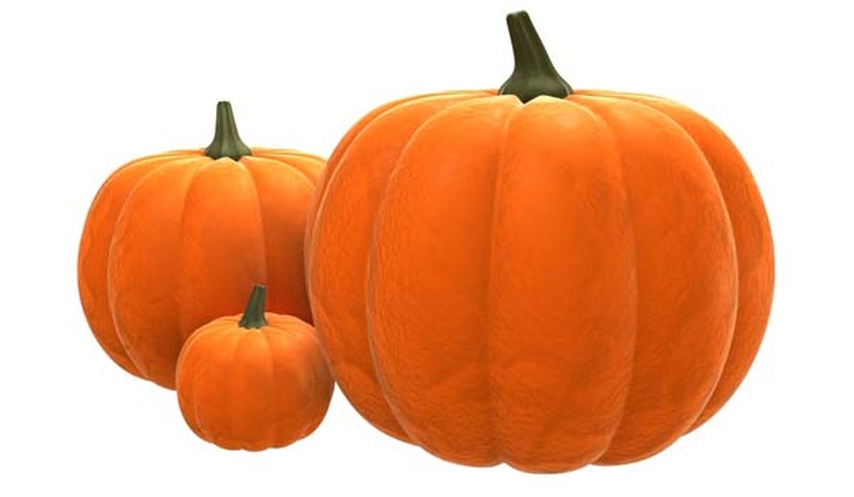 Pumpkin carving tips