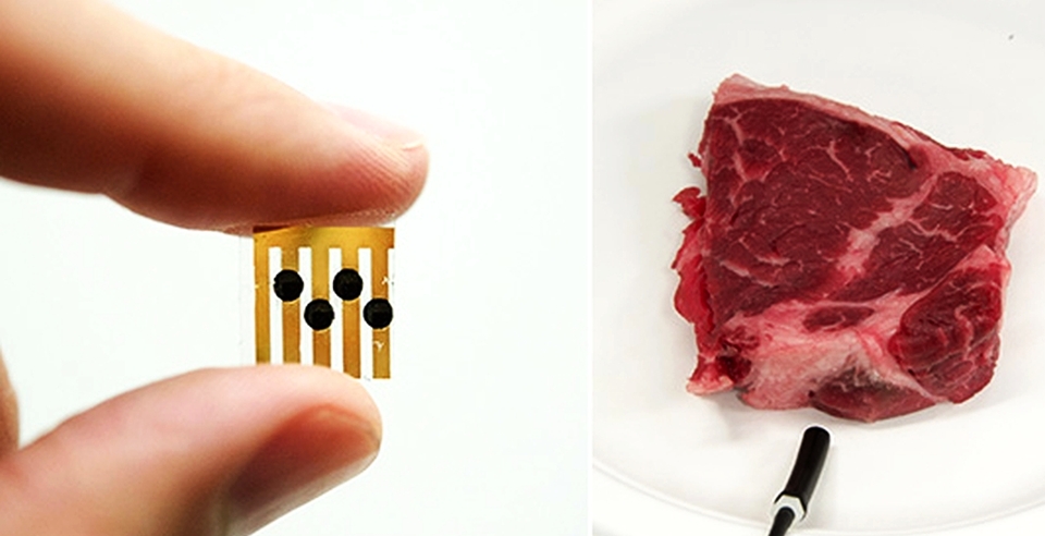 C2Sense’s artificial nose smells your food to avoid rotten produce