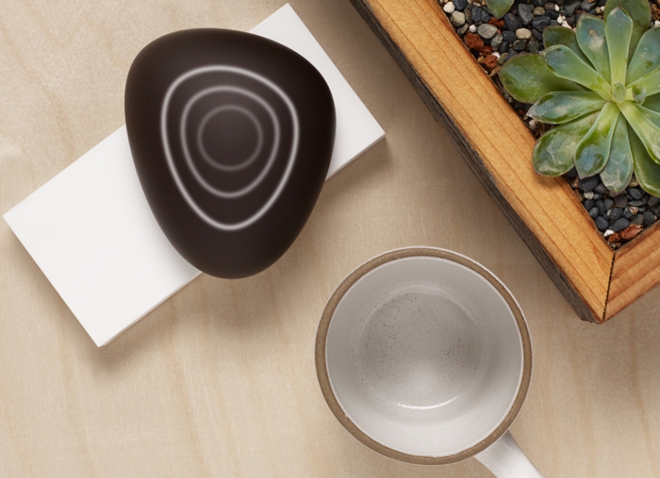 Dojo Smart Home Security System