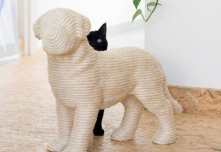 DOG scratchpost