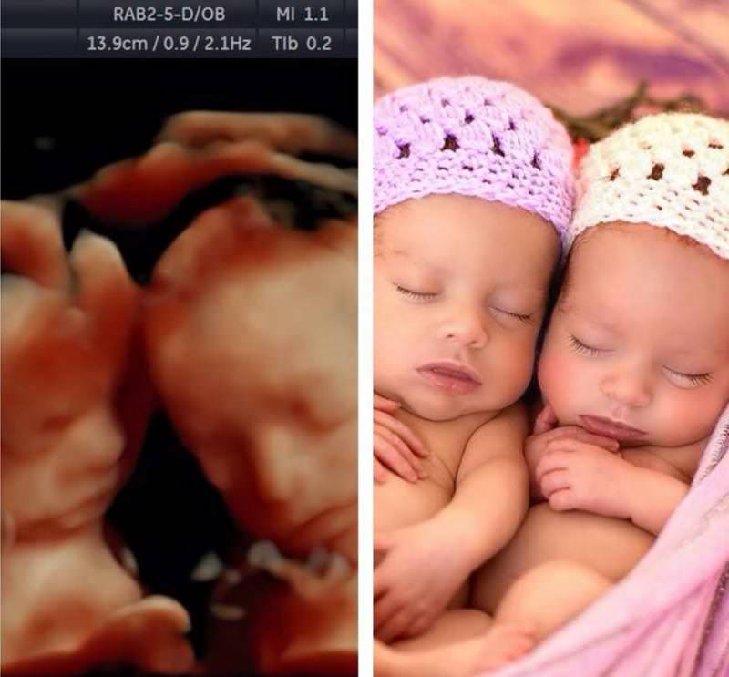Baby Boo 3D models