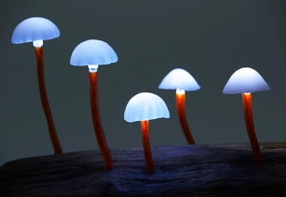 LED Mushroom Lights by Yukio Takano