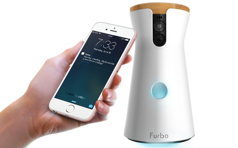 Furbo