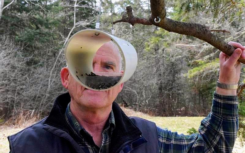 Man Builds A Horizontal Bird Feeder That Keeps Squirrels Away