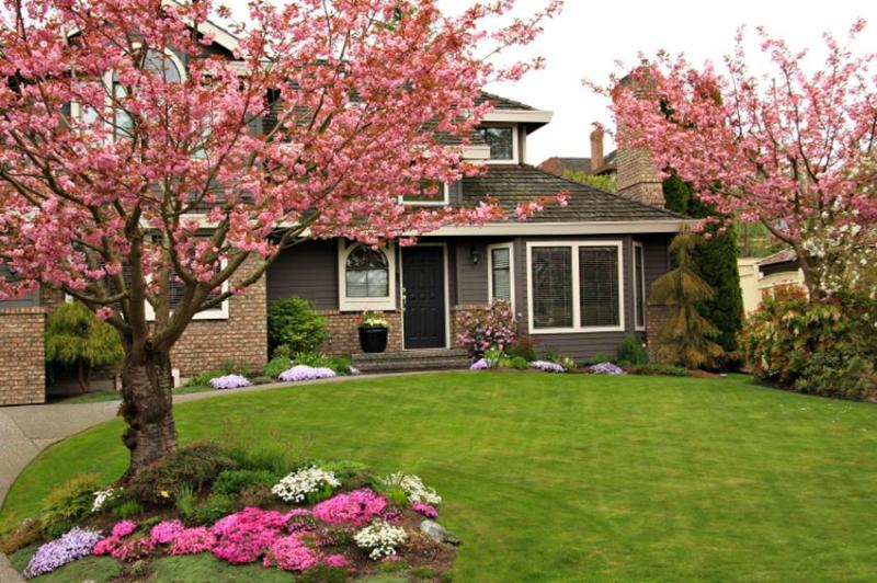 10 Easy Tips to Make the Most Out of Your Front Yard
