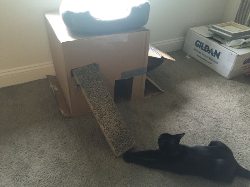 DIY Cat Treehouse