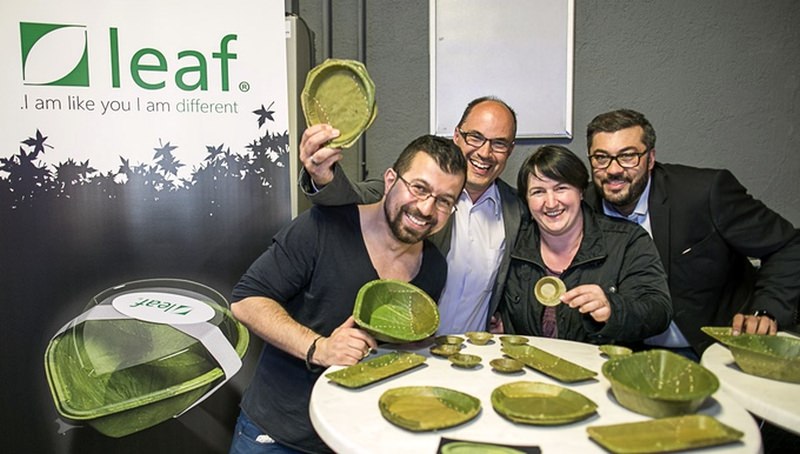 Leaf Plates and Tableware