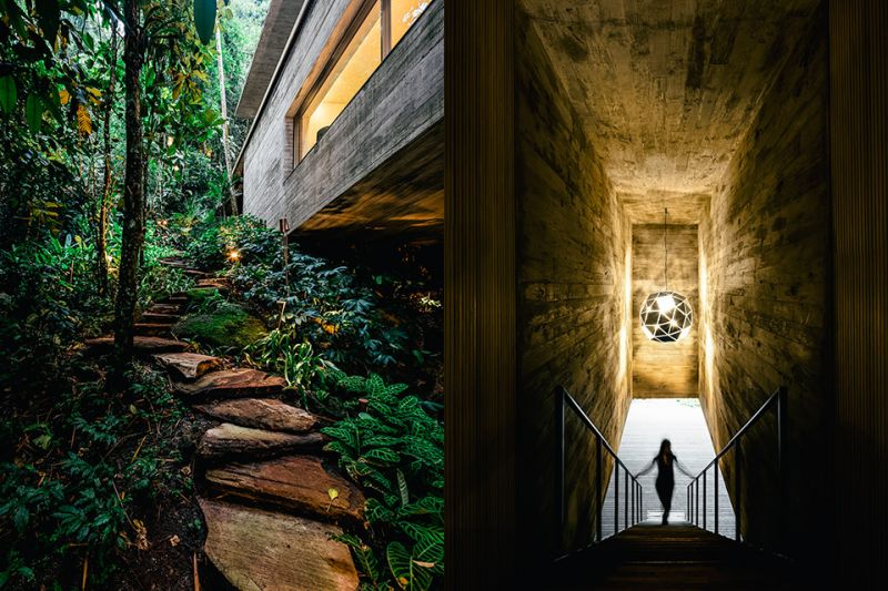 Rainforest House