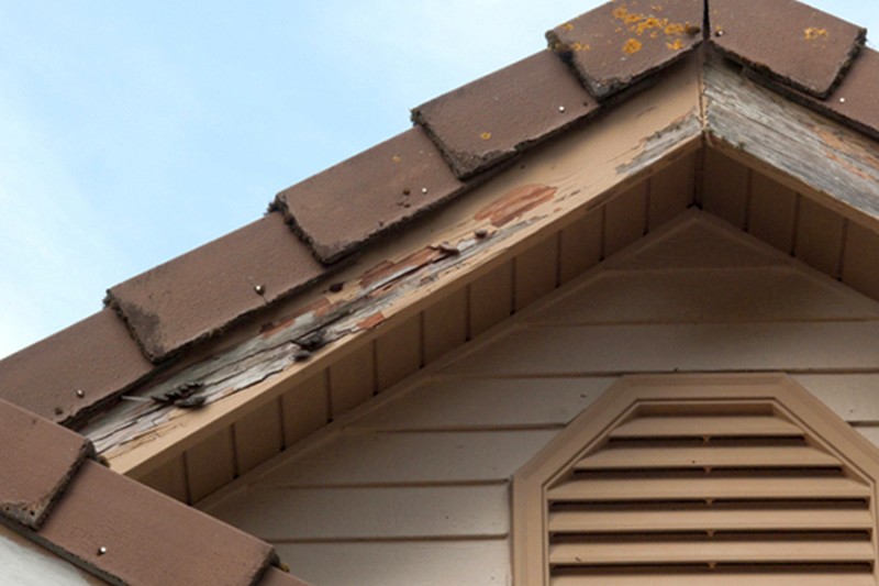 How To Detect Signs Of Termite Infestation In 7 Easy Ways