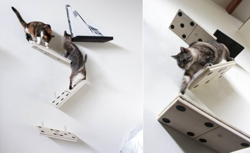 Your home furniture is safe from cat scratching